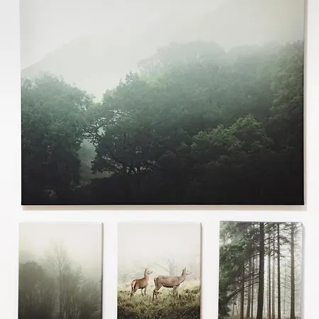 شقة Charmoso Mirante *